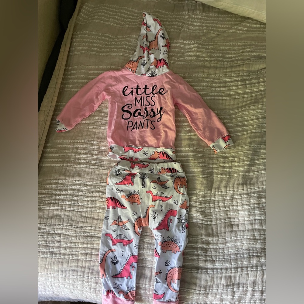 Toddler Girl dinosaurs sweat pant and hoodie set- NWOT!